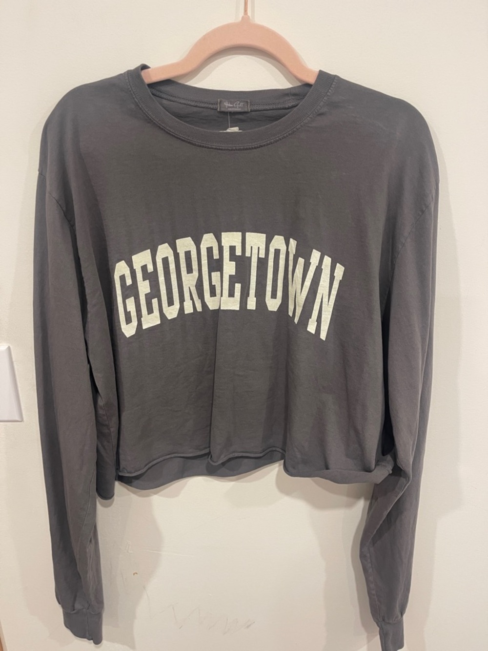 Brandy Melville Gray Georgetown Cropped Long-Sleeve Tee